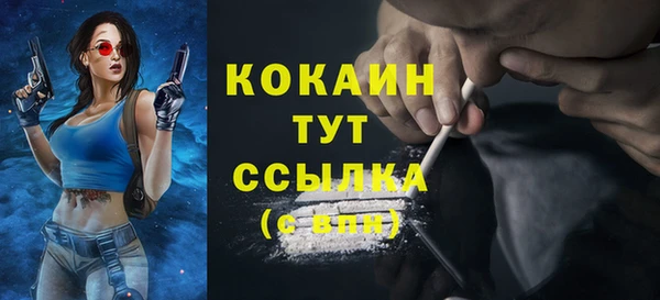гидра Белокуриха