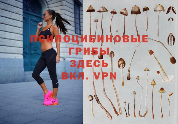 соль ск Белоозёрский
