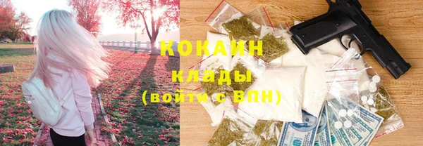 гидра Белокуриха