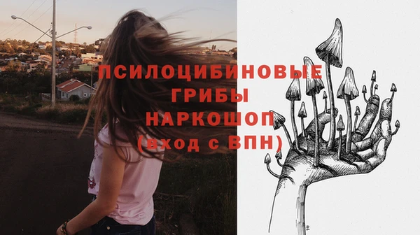 соль ск Белоозёрский