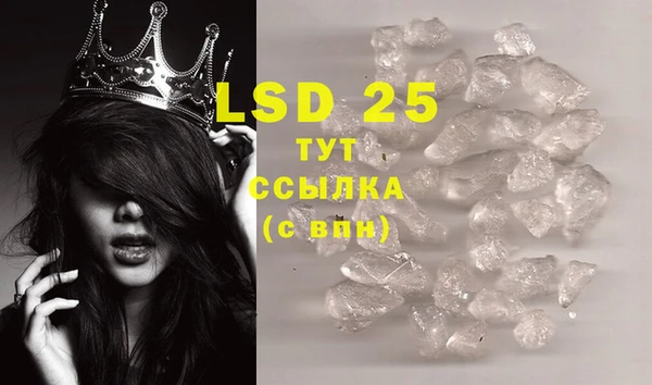 гидра Белокуриха