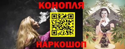 дмт Бийск