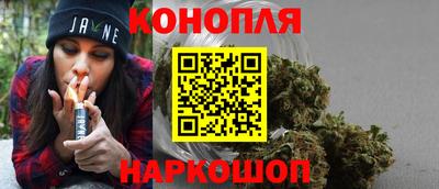 дмт Бийск