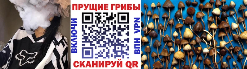 Галлюциногенные грибы прущие грибы  купить  цена  Верхняя Пышма 