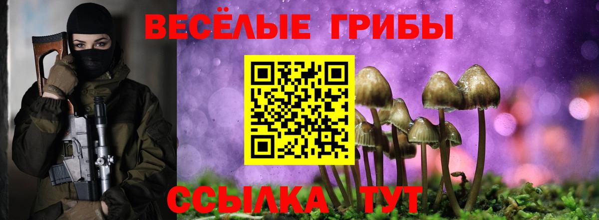Верхняя Пышма  Псилоцибиновые грибы прущие грибы  Вход с VPN  Галлюциногенные грибы мухоморы 